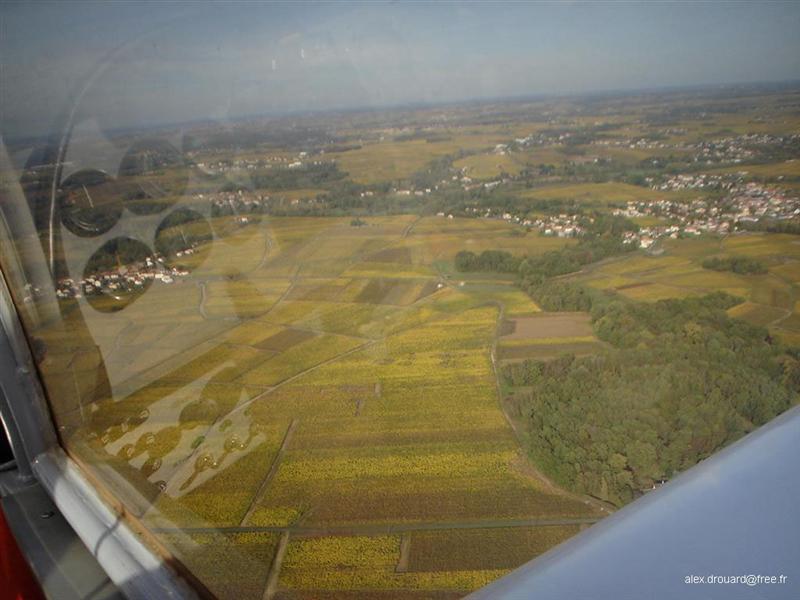 a60-vignoble hallopiere