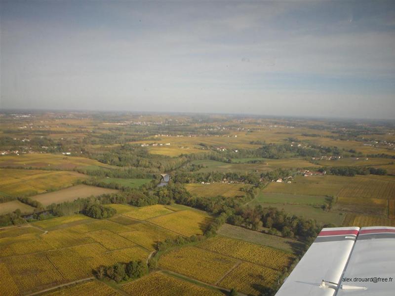 a79-vignoble